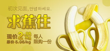 banner 廣告圖